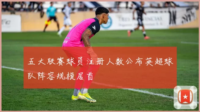 五大联赛球员注册人数公布英超球队阵容规模居首
